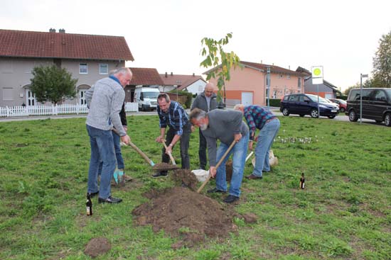 Hausbaum